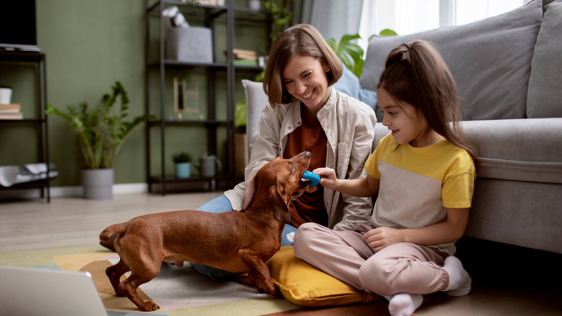Yavru Köpek Eğitimi: Tuvalet ve Temel Komutlar Nasıl Öğretilir?